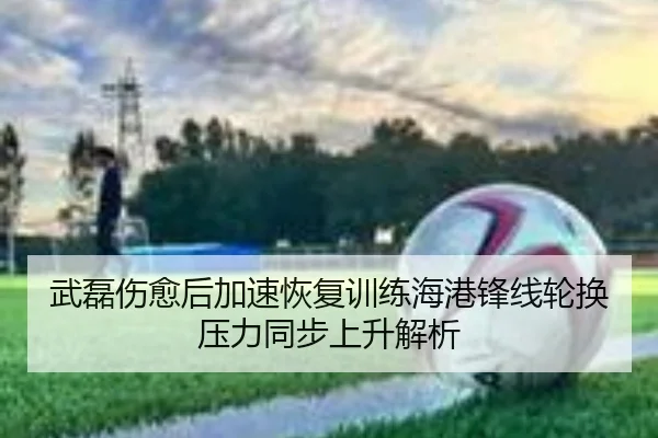 武磊伤愈后加速恢复训练海港锋线轮换压力同步上升解析 - kaiyun